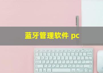 蓝牙管理软件 pc